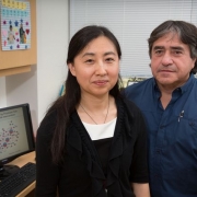 Professors Xia Yang and Fernando Gomez-Pinilla research featured in UCLA Newsroom