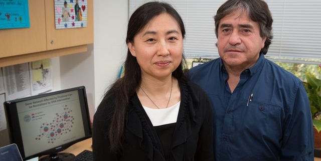 Life scientists Xia Yang and Fernando Gomez-Pinilla say their research holds the promise of individualized treatments for such diseases as Alzheimer’s.