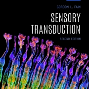 Professor Gordon Fain publishes new edition of his book Sensory Transduction