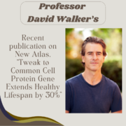 Professor David Walker’s recent publication on New Atlas, “Tweak to common cell protein gene extends healthy lifespan by 30%”