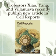 Professors Xiao, Yang, and Villanueva recently publish new article in Cell Reports