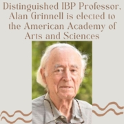 Distinguished IBP Professor, Alan Grinnell is elected to the American Academy of Arts and Sciences