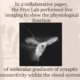 In a collaborative paper, the Frye Lab performed live imaging to show the physiological function of molecular gradients of synaptic connectivity within the visual system 
