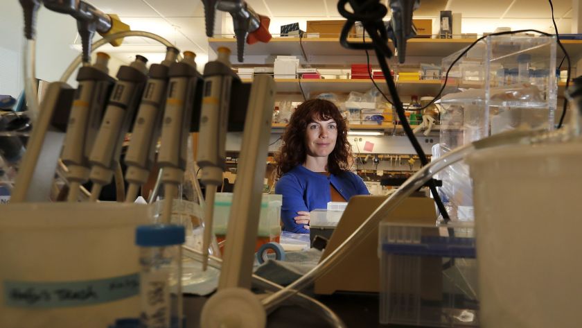 Professor Amy Rowat featured in the LA Times