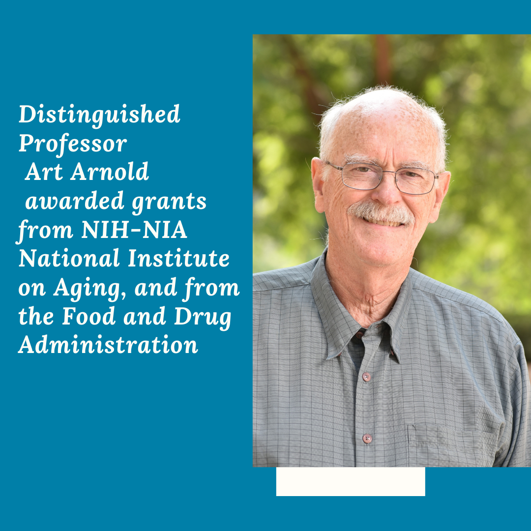 Distinguished Professor Art Arnold was awarded grants from NIH-NIA National Institute on Aging, and from the Food and Drug Administration