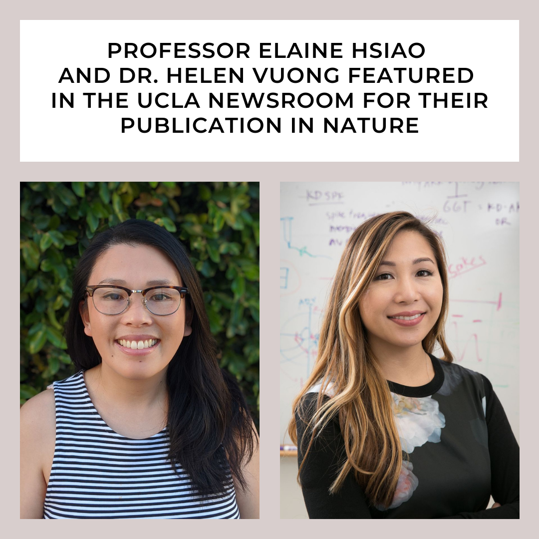 Professor Elaine Hsiao and Dr. Helen Vuong featured in the UCLA Newsroom for their publication in “Nature”