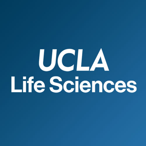 The Life Sciences Division at UCLA has an open rank faculty position available!