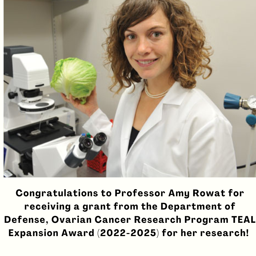 Congratulations to Professor Amy Rowat for receiving a grant from the Department of Defense, Ovarian Cancer Research Program TEAL Expansion Award (2022-2025) for her research!