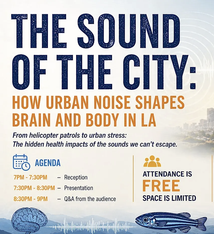 sound city