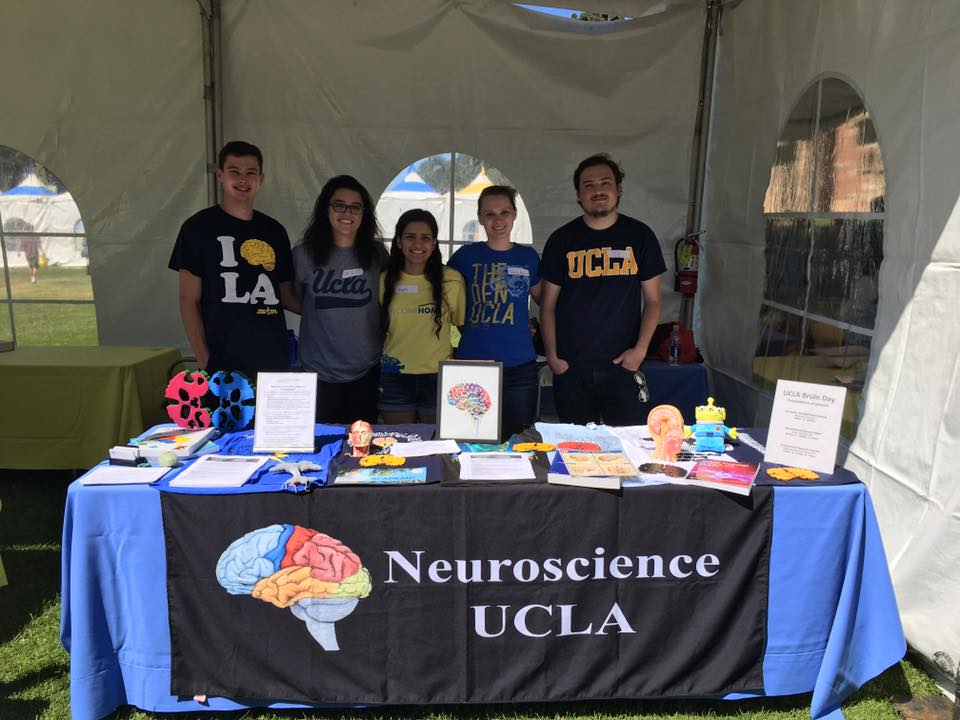 Ucla Neuroscience Major Acceptance Rate